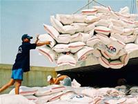 Xuất khẩu gạo cuối năm chựng lại