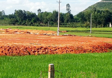 Tuy chỉ xin chuyển sang đất kinh doanh hơn 8.000 m2 nhưng hiện tại khu đất trồng lúa rộng hơn 30.000 m2 này đã được san lấp gần như toàn bộ. 