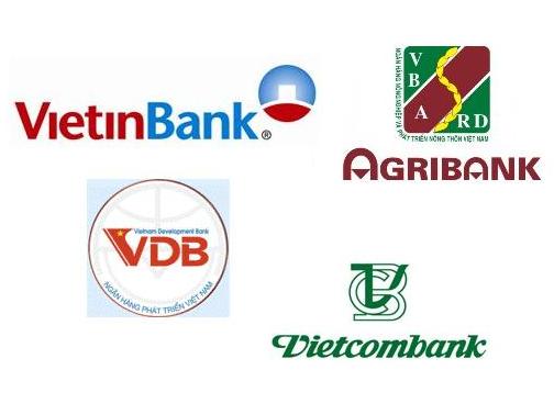Sẽ kiểm toán CTG, VCB, Agribank, VDB trong 2013