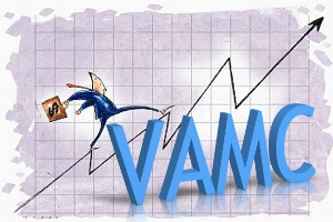 VAMC chỉ được sử dụng vốn để đầu tư ra ngoài dưới 2 hình thức