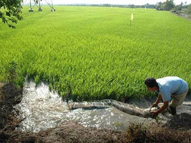 Nông nghiệp Việt Nam nên mừng hay lo?