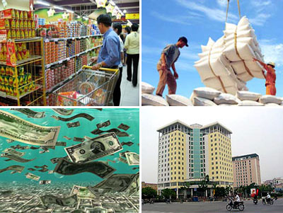 Cần sự can trường của nền kinh tế Việt Nam