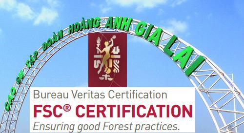Bureau Veritas - Tổ chức Pháp sẽ đánh giá và cấp FSC-FM cho HAG là ai?