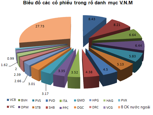 Dự đoán cơ cấu danh mục V.N.M: PVX bị loại, MSN hay HSG được thêm vào?