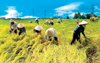 Làn gió mới cho ngành nông nghiệp Việt Nam