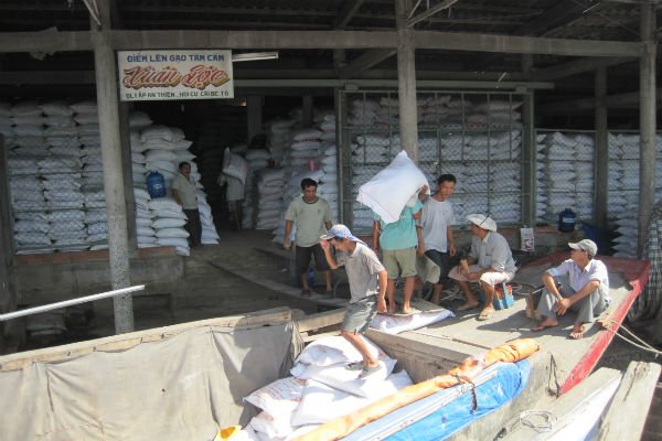 Trúng thầu bán gạo cho Philippines nhờ chào giá thấp