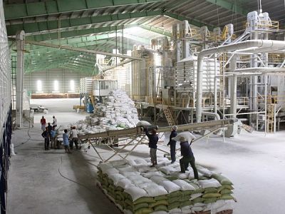 Tạm trữ lúa gạo: Chưa hoàn thành chỉ tiêu