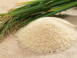 AGM: Lãi quý 1/2014 giảm theo đà xuất khẩu gạo của Việt Nam