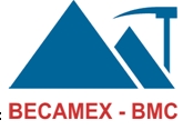 BMJ: Bê tông Becamex bất ngờ nắm gần 75% vốn