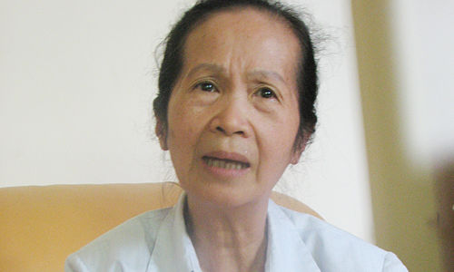 Bà Phạm Chi Lan: Doanh nghiệp tư nhân vẫn tự sinh tự diệt
