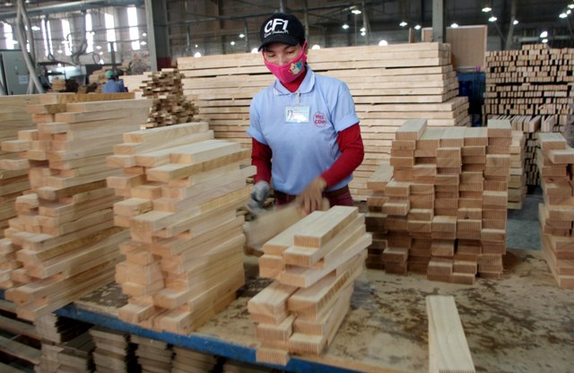 Xuất nhập khẩu gỗ tăng mạnh trong 7 tháng đầu năm