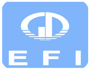 EFI: Chuyển đổi mục đích sử dụng vốn phát hành năm 2010
