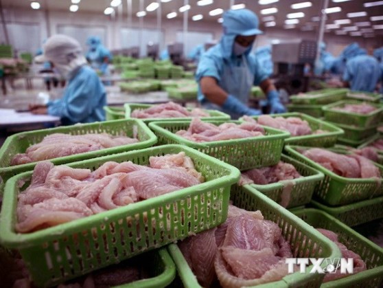 Việt Nam đứng đầu về xuất khẩu sản phẩm cá sang Colombia