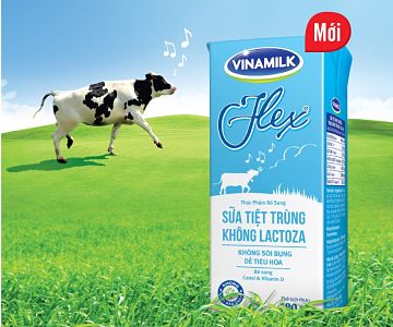 Việt Nam đã có trên 200.000 con bò sữa