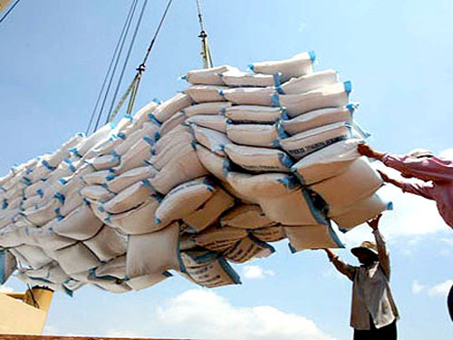 Xuất khẩu gạo sang các thị trường chính tại châu Phi giảm trong 10 tháng đầu năm 2014