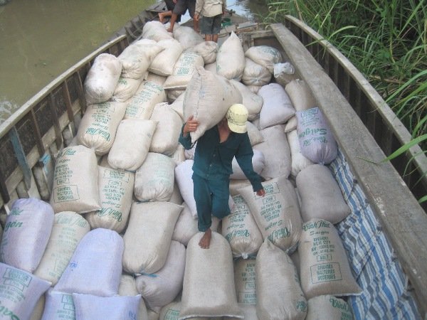 Không dễ xuất khẩu gạo vào thị trường gạo tập trung