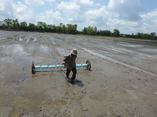 Nganh lua gao chua phat trien ben vung