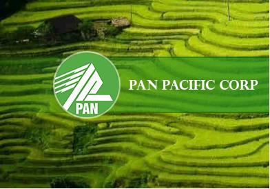 PAN: Thành viên HĐQT Hà Thị Thanh Vân đăng ký mua 52,000 cp