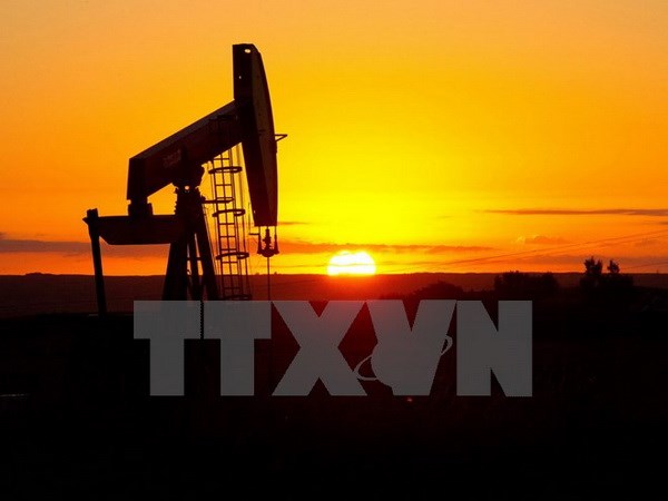 Các công ty dịch vụ dầu khí Mỹ cắt giảm nhân sự do giá dầu giảm