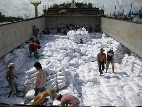 Việt Nam dự kiến xuất khẩu 900 ngàn tấn gạo trong quý I/2015