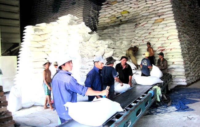 Hôm nay VN đấu thầu bán 500.000 tấn gạo cho Philippines