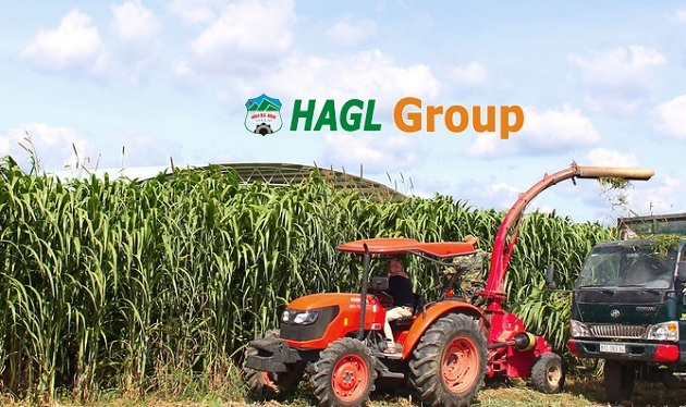HAG: Hủy bán 50% HAGL Myanmar Center cho Rowsley, niêm yết HAGL Agrico