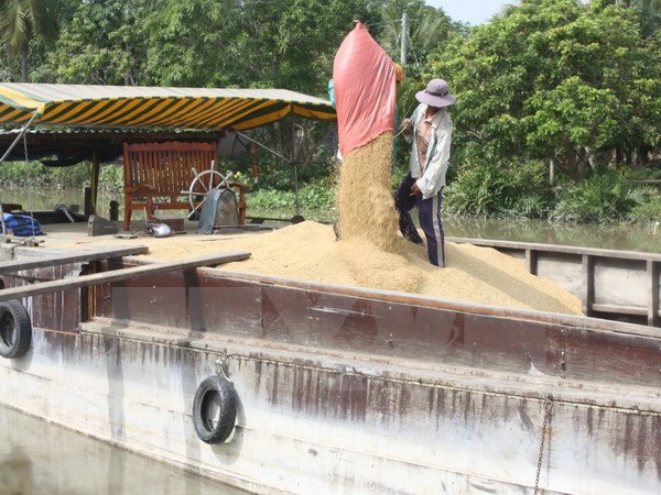 Kiến nghị Nhà nước tham gia dự trữ 10-12% sản lượng lúa gạo