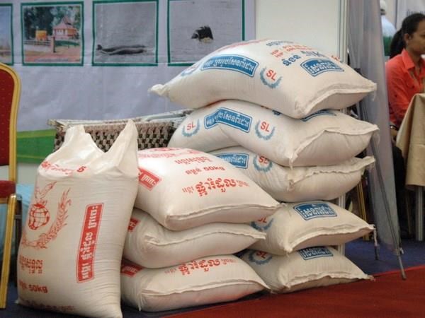 Campuchia: Xuất khẩu gạo tăng 67,2% trong 4 tháng đầu năm 2015