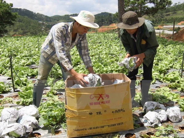 Tiềm năng thu hút FDI vào lĩnh vực nông nghiệp ở Lâm Đồng