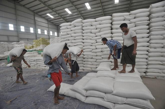 Myanmar đặt mục tiêu vào Top 3 nước xuất khẩu gạo hàng đầu