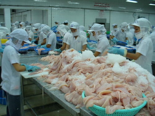 Việt Nam cung ứng 90% sản lượng cá tra toàn cầu
