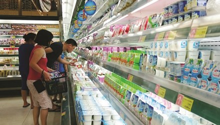 Cơ hội nào cho ngành Sữa Việt Nam?