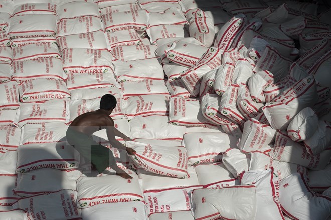 Myanmar khôi phục hoạt động xuất khẩu gạo vào giữa tháng 9