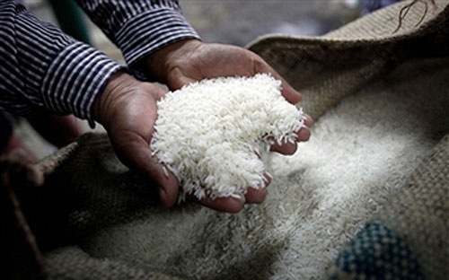 Giá gạo thế giới có thể tăng 10% trong những tháng tới