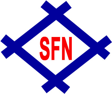 SFN: Biên lãi gộp cải thiện, lãi ròng tăng 41%