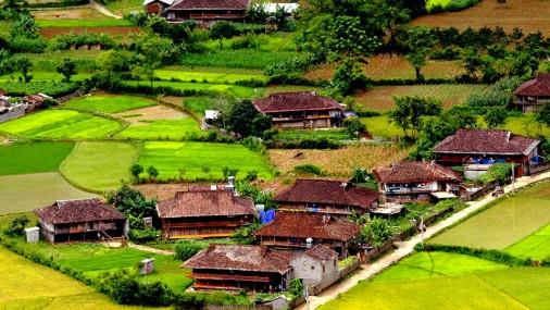 DXL: "Tâm thư" từ cổ đông chỉ trích tư cách, trình độ của Chủ tịch Trần Việt Di