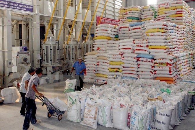 Giá gạo xuất khẩu của Việt Nam giảm bất thường