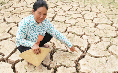 Việt Nam mất 15.000 tỉ đồng vì hạn hán, xâm ngập mặn lịch sử