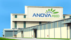 IFC đầu tư 340 tỷ vào Công ty Thức ăn Chăn nuôi Anova
