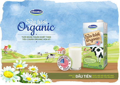Sữa tươi organic chuẩn USDA của Vinamilk: Khi sản phẩm nội sánh tầm quốc tế