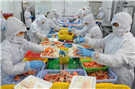 Sài Gòn Food khẳng định không xuất khẩu cá diêu hồng sang Úc