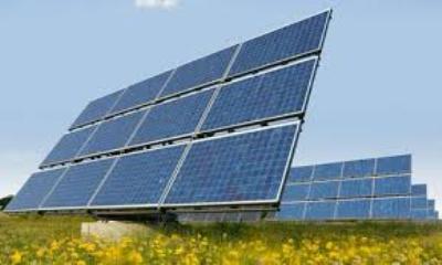 Tập đoàn Mỹ khảo sát đầu tư điện mặt trời ở Bình Thuận