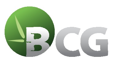BCG: Góp bổ sung 10 tỷ tăng vốn cho Công ty con
