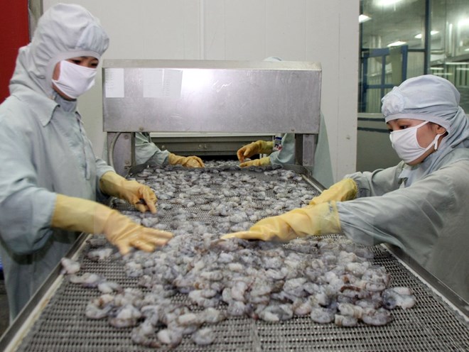 EU cảnh báo 11 lô hàng thuỷ sản của Việt Nam bị dư kim loại nặng