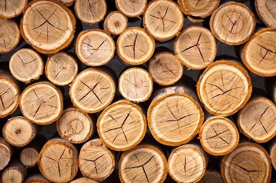 Hoa Kỳ là thị trường tiêu thụ lớn nhất của gỗ Việt Nam