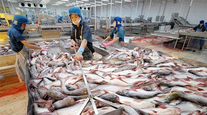 Nhu cầu cá tra Việt Nam tại Mỹ có xu hướng tăng