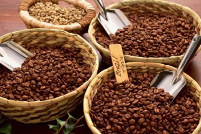 Xuất khẩu cà phê 10 tháng tăng hơn 40% về khối lượng