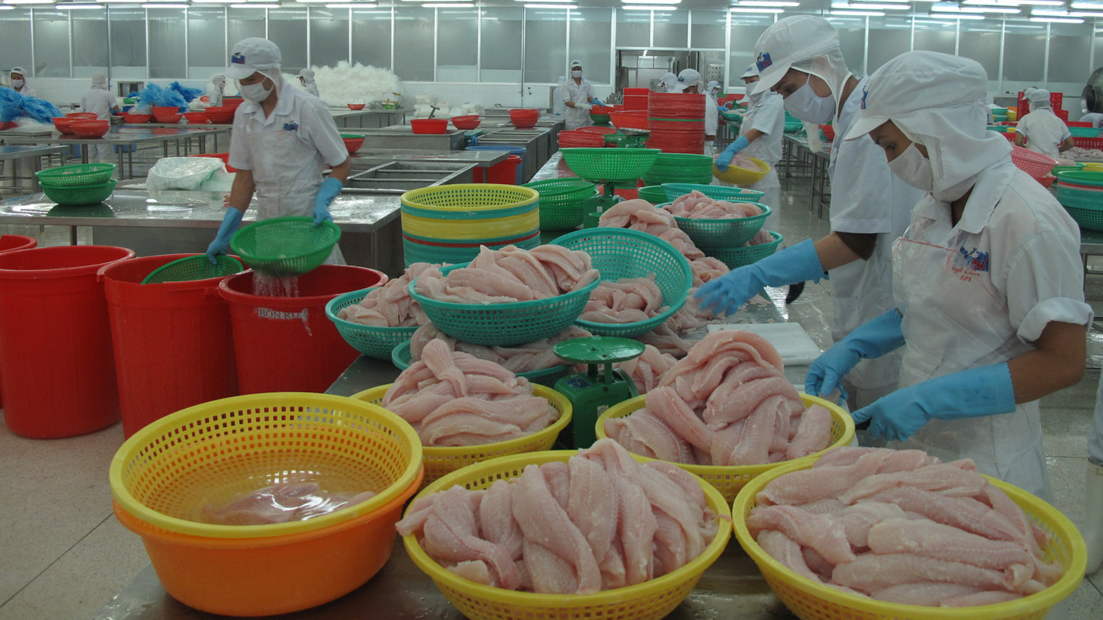 Bra-xin dừng nhập khẩu cá tra của Công ty thực phẩm miền Tây VN