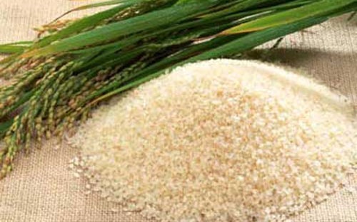 Đẩy mạnh thu mua, tiêu thụ lúa gạo