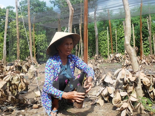 Việt Nam cần hơn 25.000 tỷ đồng để khắc phục thiệt hại do El Nino